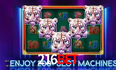 A Emoção da Loteria na 216bet: Uma Chance de Mudança de Vida
